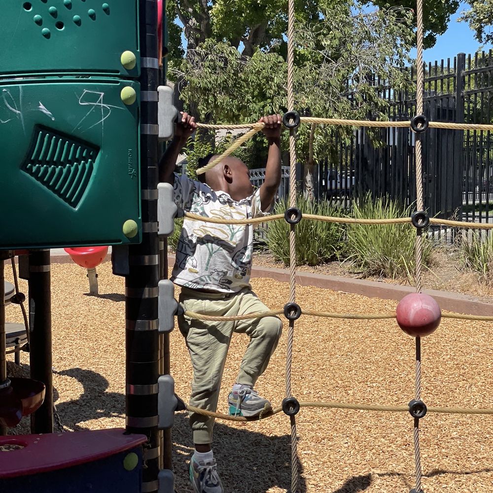 McCartney Park - Little climber! - Parks Near Me - San Leandro, California McCartney Park - Little climber! - Parks Near Me - San Leandro, California