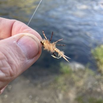 Kern River Fly Shop - Stone fly - Fishing Near Me - Kernville, California