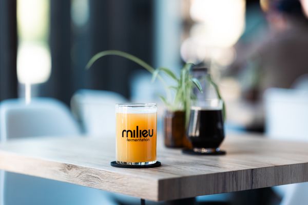 Milieu Fermentation by null