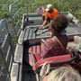 Rajun Cajun Swamp Tours