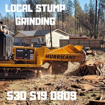 Stump Grinding - Chris Herrera - Tree Services Near Me Stump Grinding - Chris Herrera - Tree Services Near Me