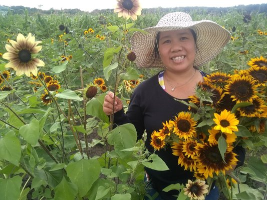 Bremer Produce U-Pick Flower Farm by null