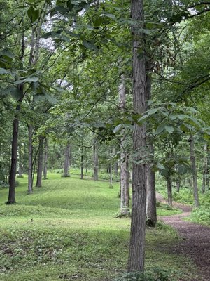 Effigy Mounds National Monument by null