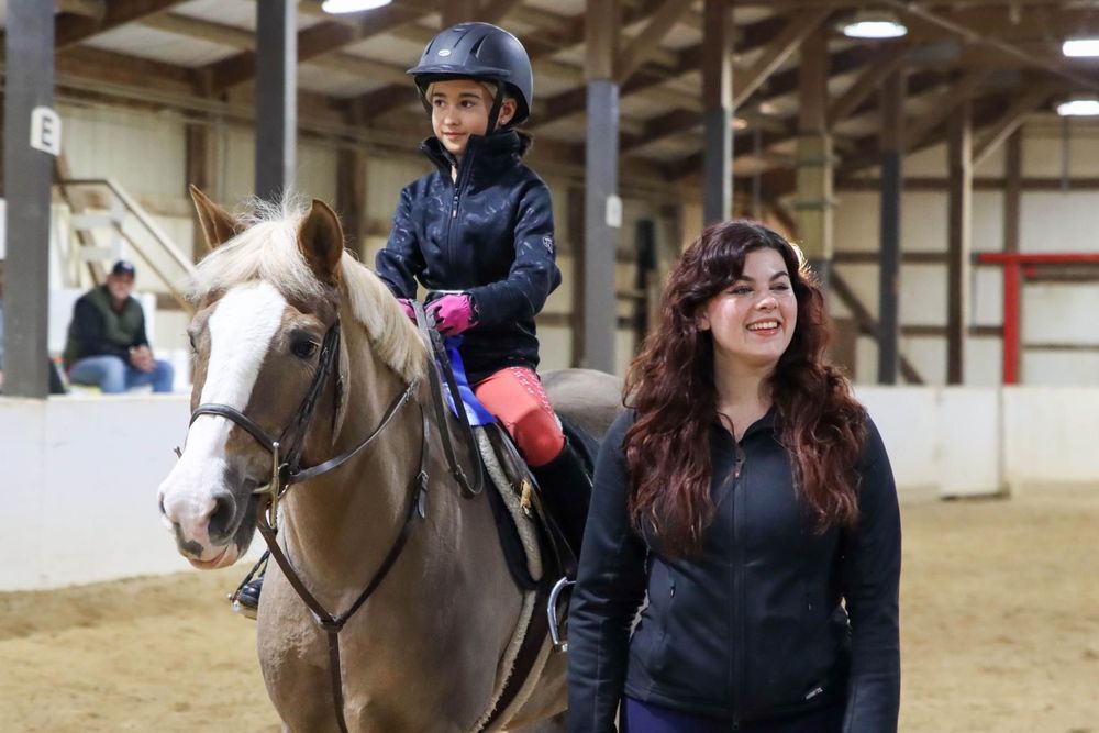 No Sweat Groom - equestrian in Petersburg, VA