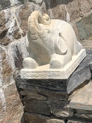 Fjord Vineyards by null