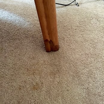 Parkwood Apartments - Mold wicked up into end table legs - Apartments Near Me - Salisbury, Maryland Parkwood Apartments - Mold wicked up into end table legs - Apartments Near Me - Salisbury, Maryland