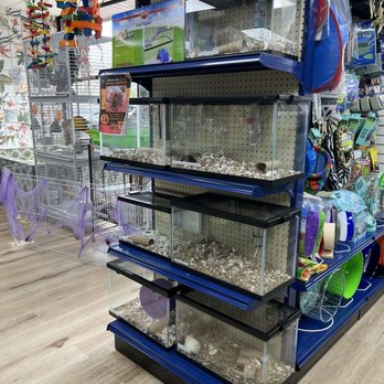 The Animal Store - October 2023 - Pet Stores Near Me - Lincolnwood, Illinois The Animal Store - October 2023 - Pet Stores Near Me - Lincolnwood, Illinois