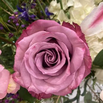 Bachman's Minneapolis - Perfectly place lavender roses. - Nurseries & Gardening Near Me - Minneapolis, Minnesota
