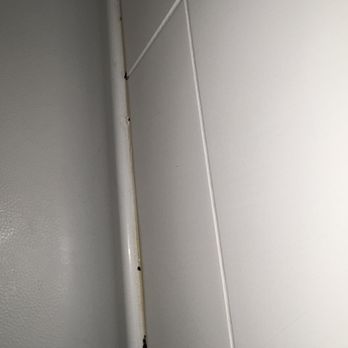 Hampton Inn & Suites Cordele - Moldy moldy moldy - Hotels Near Me - Cordele, Georgia