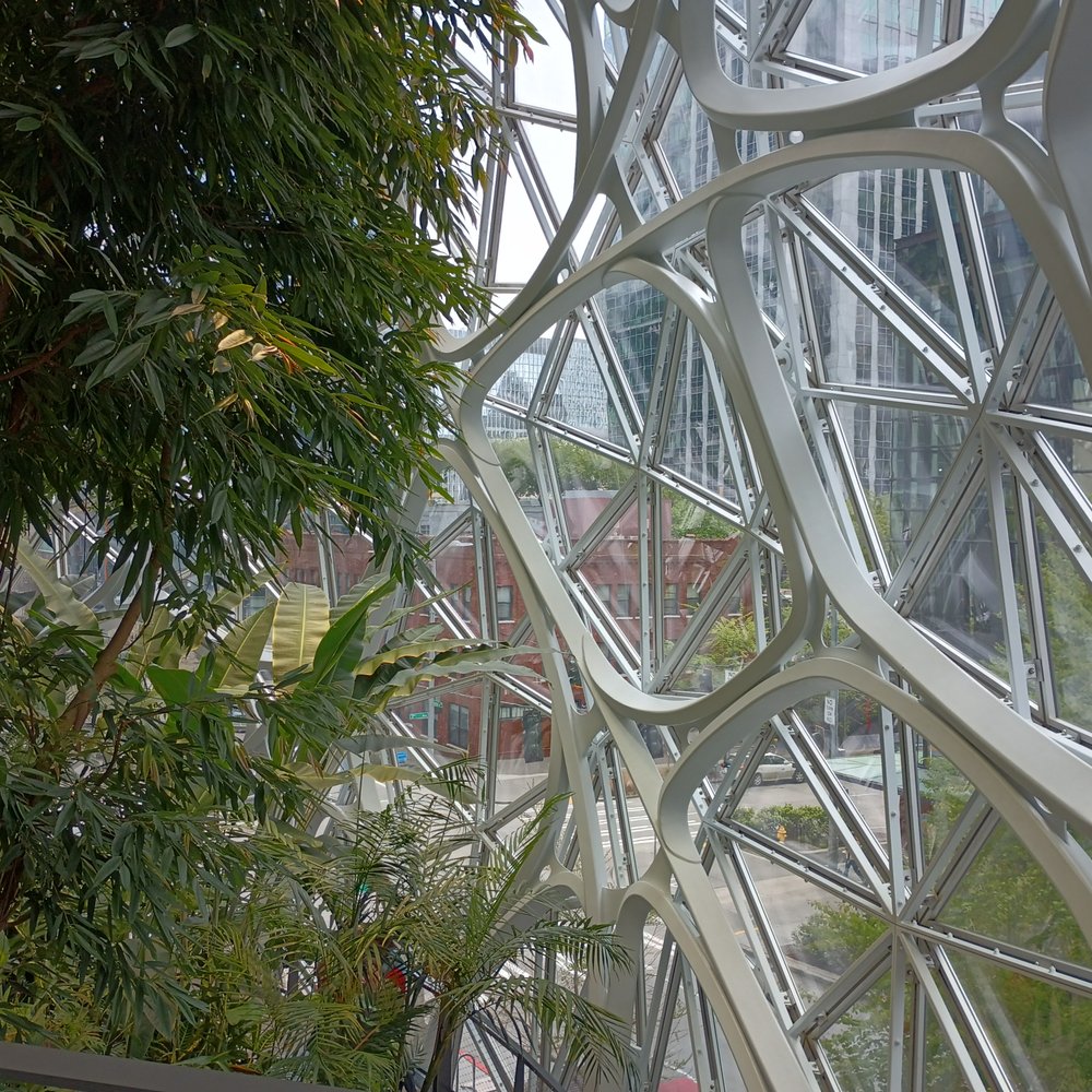Amazon Spheres - Botanical Gardens Near Me - Seattle, Washington Amazon Spheres - Botanical Gardens Near Me - Seattle, Washington