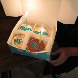 SusieCakes - Brentwood - My 10-year-old nephew's personalized 4-Cupcake Birthday Box.
