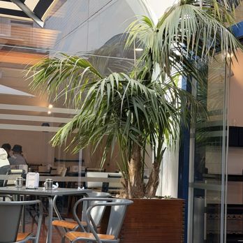 Pastéis de Belém - Bakeries Near Me - Lisbon, 11 Pastéis de Belém - Bakeries Near Me - Lisbon, 11
