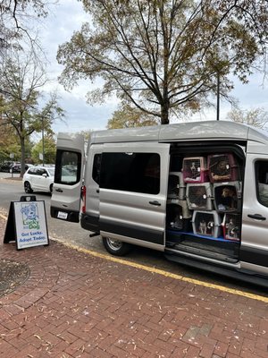 Lucky Dog Animal Rescue by null