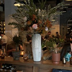 Monteverde - Aesthetically pleasing flowers!!!