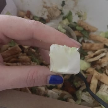 Panera Bread - Found this in my salad today. Huge solid chunk of the head of the lettuce - Sandwiches Near Me - Willowbrook, Illinois
