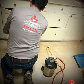Special Pest Control - Pet Friendly - Pest Control Near Me Special Pest Control - Pet Friendly - Pest Control Near Me