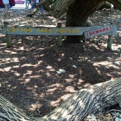 Scarborough Beach Park - The park is also known as Cotton Tree Park/Forest or the Pirate Park by locals