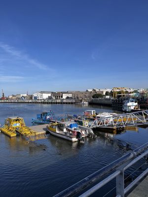 La Boca by null