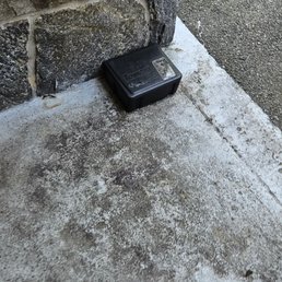 Rat traps outside room Rat traps outside room