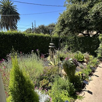 The Standard Design Group Nurseries - Nurseries & Gardening Near Me - Pasadena, California The Standard Design Group Nurseries - Nurseries & Gardening Near Me - Pasadena, California