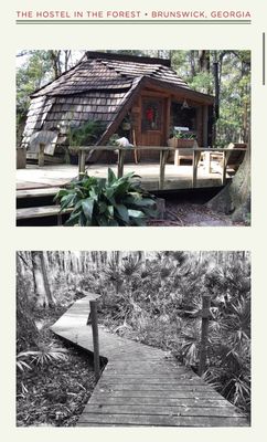 Hostel In the Forest by null