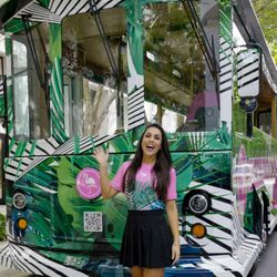 Flamingo Bus
