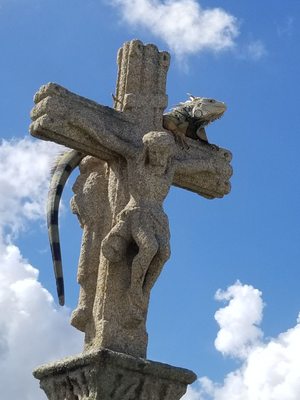 Cementerio Santa María Magdalena de Pazzis by null