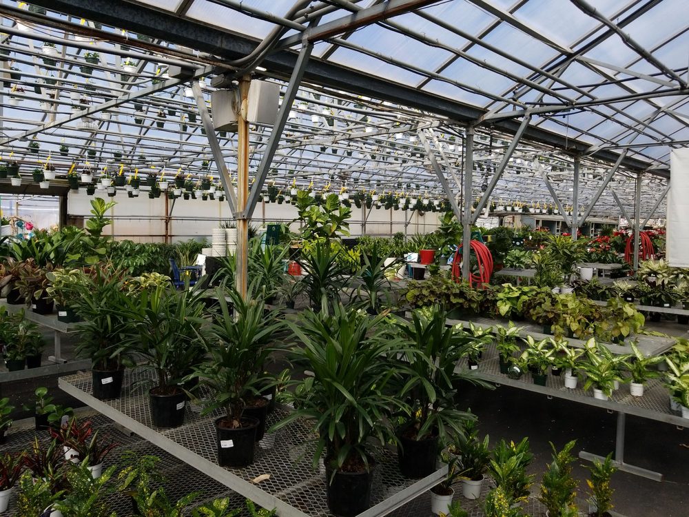 MAHONEY’S GARDEN CENTER EAST FALMOUTH Updated September 2024 31