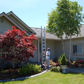 Sasquatch Painting - Painters Near Me Sasquatch Painting - Painters Near Me