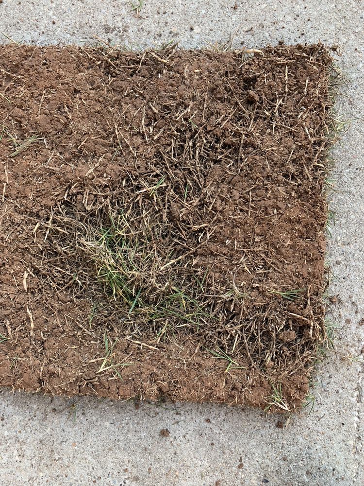 ECO MULCH & SOD Updated June 2024 2707 Viking Dr, Bossier City, Louisiana Nurseries