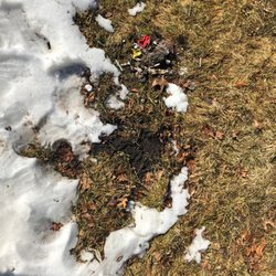 Truly Green Septic Services
