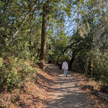 Jack London State Historic Park - Easy trail for old and young people - Parks Near Me - Glen Ellen, California Jack London State Historic Park - Easy trail for old and young people - Parks Near Me - Glen Ellen, California