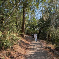 Jack London State Historic  Park - Easy trail for old and young people