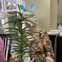 Musical Retirement Home - Easter fun at Musical Retirement Home at Seeley's bay near Kingston Seniors housing Seniors apartments