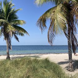 Rickenback Causeway Dog Beach