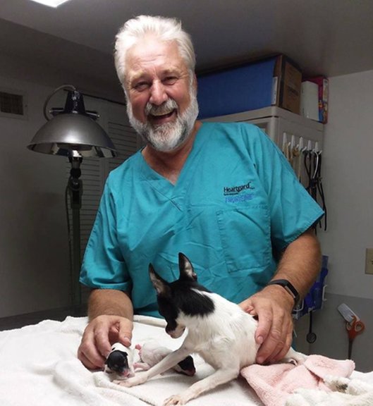 QUADCOUNTY VETERINARY CLINIC 111 E Benton St, Windsor, Missouri