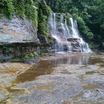 Blue Mountains Eco Tours - . - Tours Near Me - Sydney, NSW