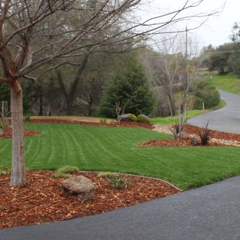 Garcia Landscape - New sod boulders, plants, bark, and rock stream. - Landscaping Near Me Garcia Landscape - New sod boulders, plants, bark, and rock stream. - Landscaping Near Me