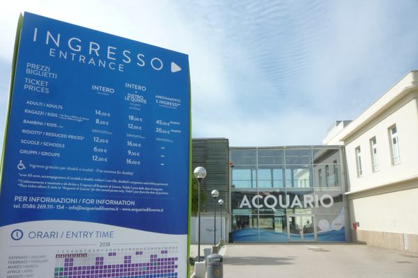 Acquario di Livorno by null