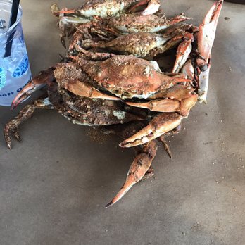 Nicks Fish House - Steamed crabs, mediums. - Seafood Near Me - Baltimore, Maryland Nicks Fish House - Steamed crabs, mediums. - Seafood Near Me - Baltimore, Maryland