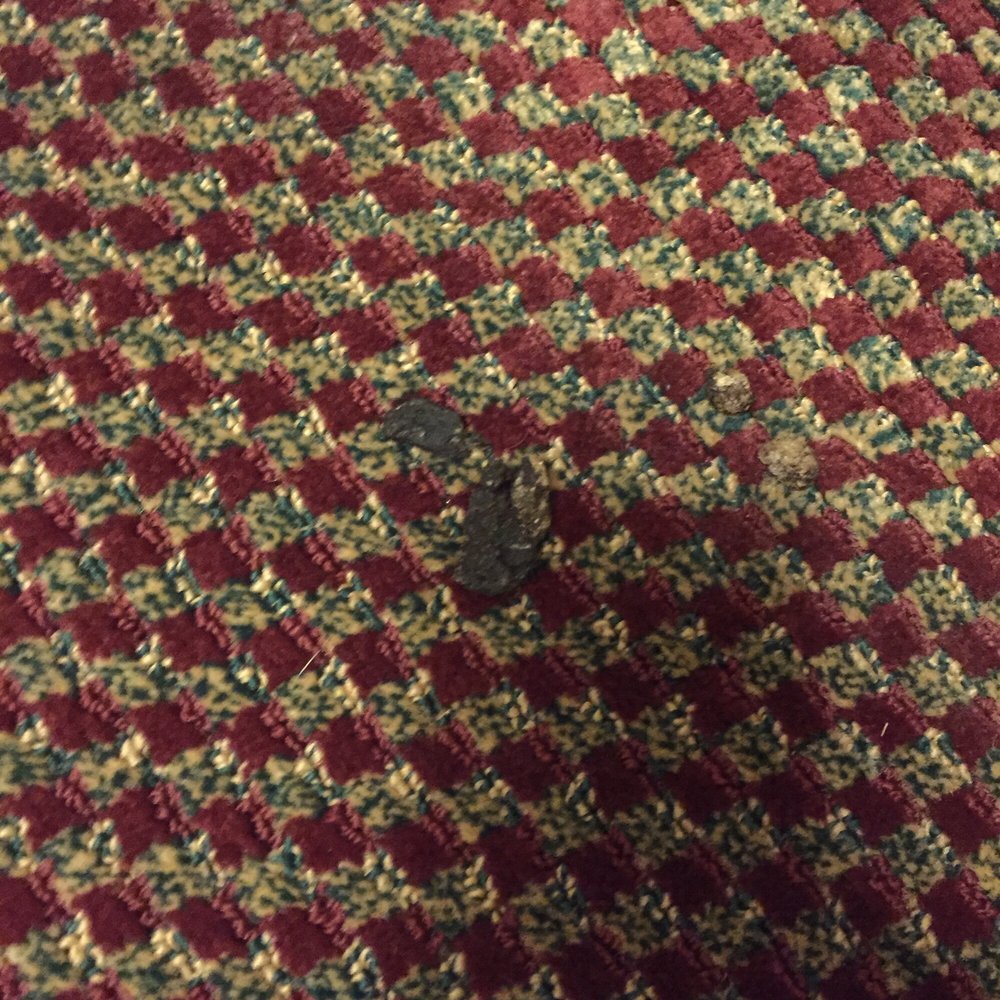 Baymont by Wyndham Willows - Here's the poop!! - Hotels Near Me - Willows, California