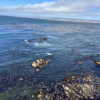 Chart House - View from seated dining table - Seafood Near Me - Monterey, California