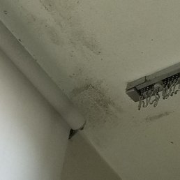 Mold on the ceiling Mold on the ceiling
