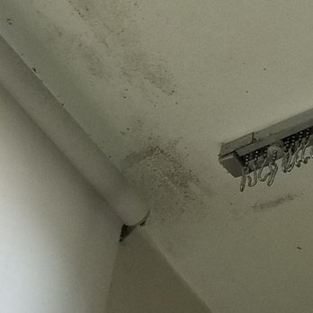 Hialeah Hospital - Mold on the ceiling - Hospitals Near Me - Hialeah, Florida Hialeah Hospital - Mold on the ceiling - Hospitals Near Me - Hialeah, Florida