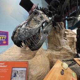 T-Rex