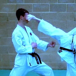cuu long vo dao kung fu