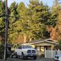 Photo of Professional Tree Services