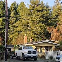 Professional Tree Services - An after shot from a before removal of a tree.