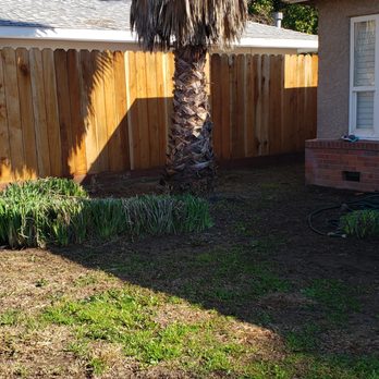 MBM Landscape services - After Picture 2 - Tree Services Near Me MBM Landscape services - After Picture 2 - Tree Services Near Me