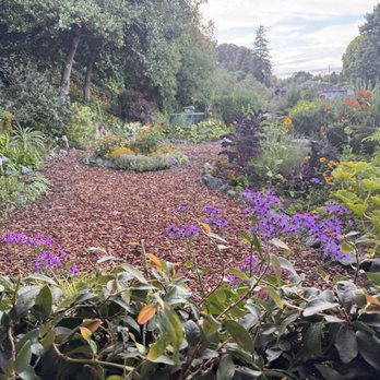 Shadowbrook - Herb garden - American Near Me - Capitola, California